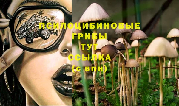 каннабис Надым